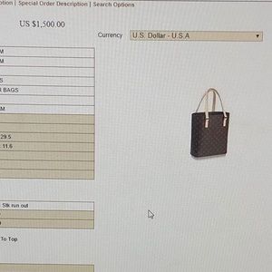 Authentic Louis Vuitton bag